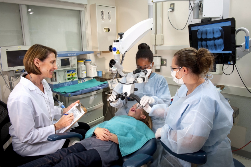 Dental hygienist career research paper